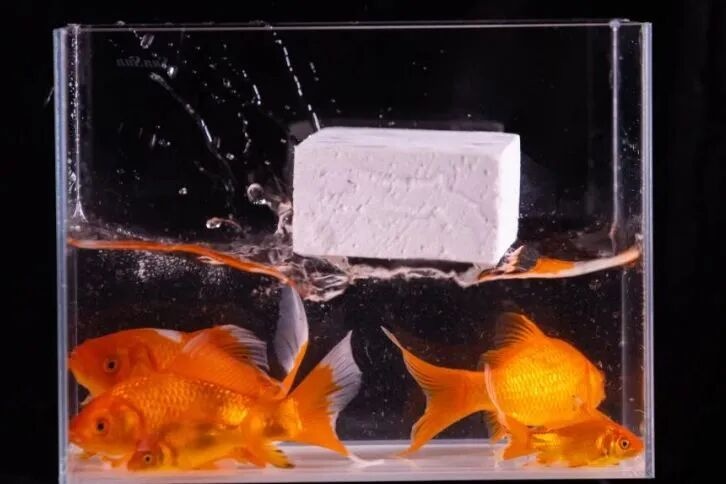 金鹏参编《聚乳酸气凝晶保温板》团体标准正式获批发布！